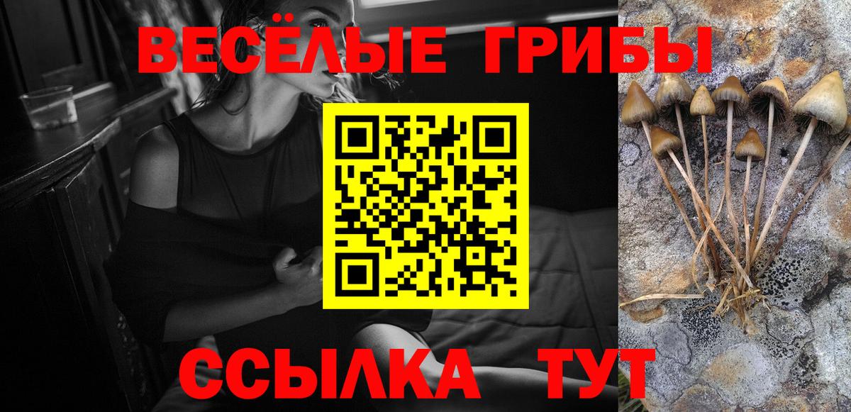 Псилоцибиновые грибы Magic Shrooms Будённовск