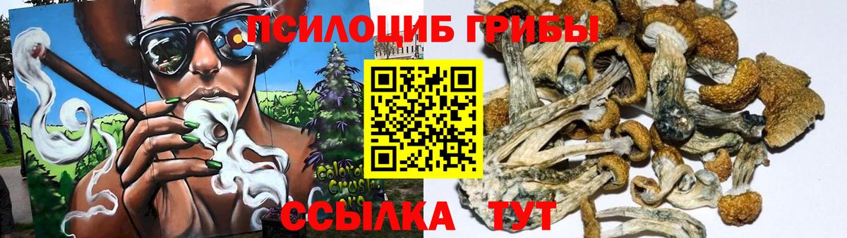 Будённовск  Псилоцибиновые грибы прущие грибы  Вход с VPN 